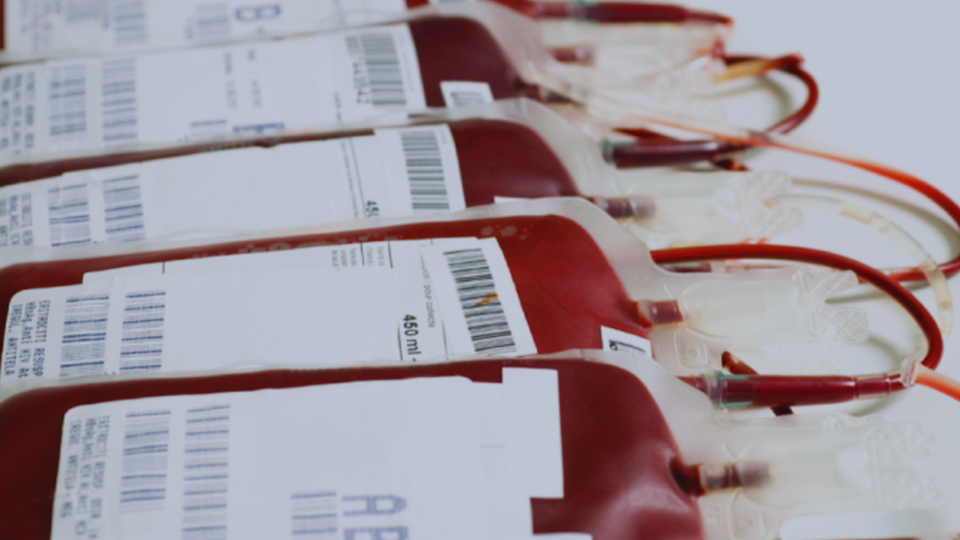 PuriBlood Breaks into Brazil: Partners with ABHH and Cromo to Conquer Latin America’s Largest Blood Market