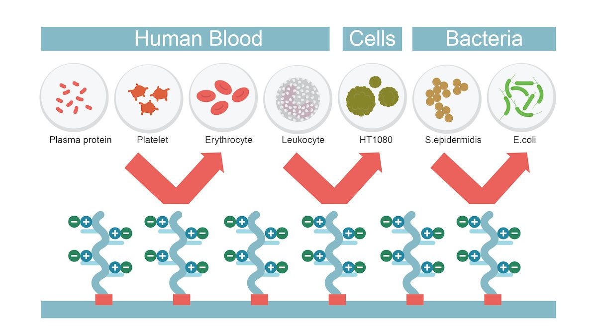 P-Tex Technology P-Tex Technology
